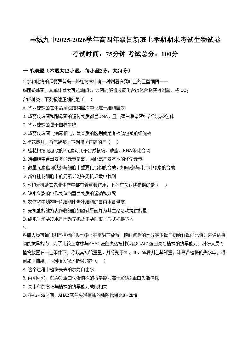 江西宜春市丰城市第九中学2025_2026学年高三上学期期末考试生物试卷（文字版，含答案）第1页