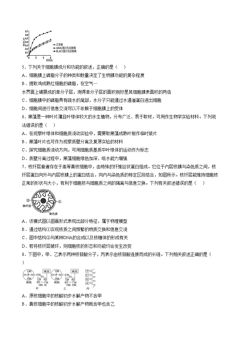 江西宜春市丰城市第九中学2025_2026学年高三上学期期末考试生物试卷（文字版，含答案）第2页