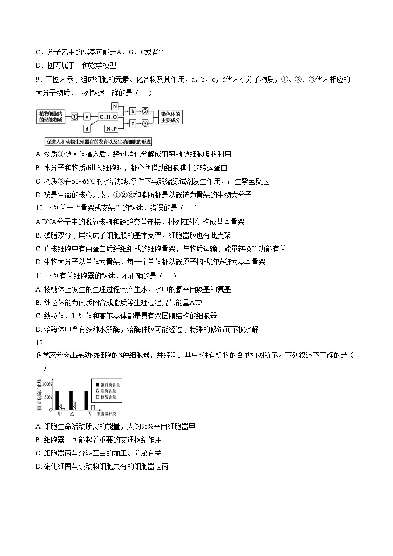 江西宜春市丰城市第九中学2025_2026学年高三上学期期末考试生物试卷（文字版，含答案）第3页