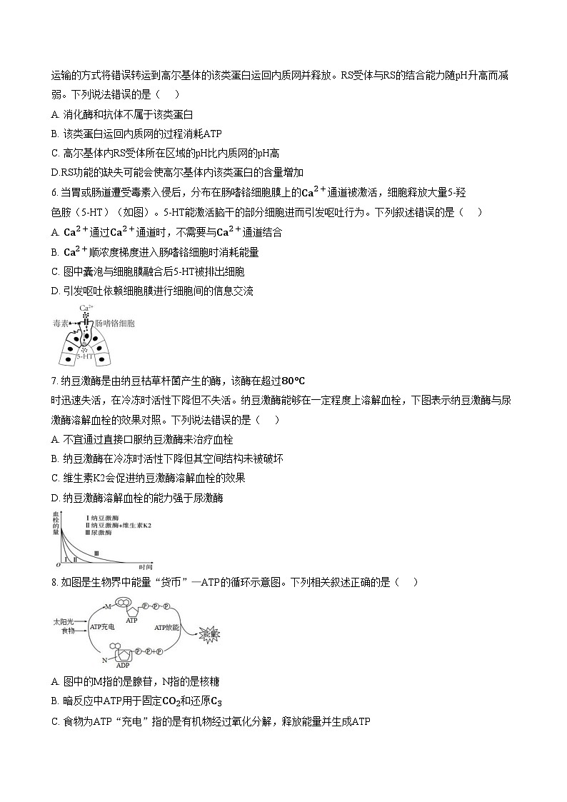 江西宜春市丰城市第九中学2025_2026学年高一上学期期末考试生物试卷（文字版，含答案）第2页