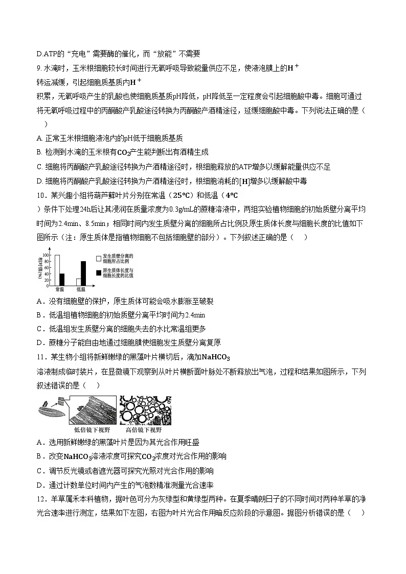 江西宜春市丰城市第九中学2025_2026学年高一上学期期末考试生物试卷（文字版，含答案）第3页