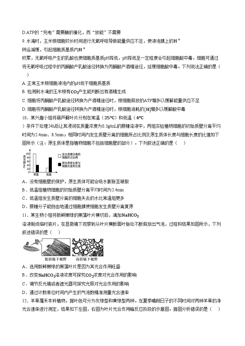 江西宜春市丰城市第九中学2025_2026学年高一上学期期末考试生物试卷（文字版，含答案）第3页