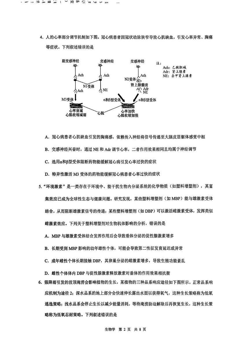 2026届安徽省马鞍山市高三上一模第一次教学质量监测生物试题（含答案）第2页