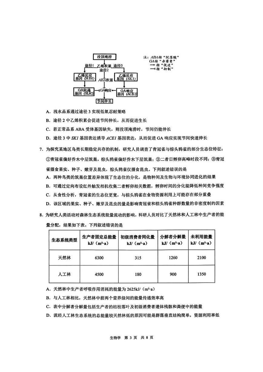 2026届安徽省马鞍山市高三上一模第一次教学质量监测生物试题（含答案）第3页