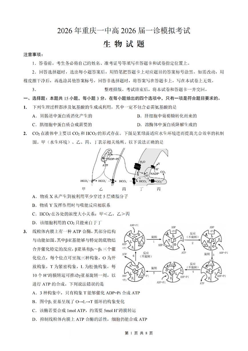 2026届重庆市重庆一中高三上学期一诊模拟考生物学试卷（含答案）第1页