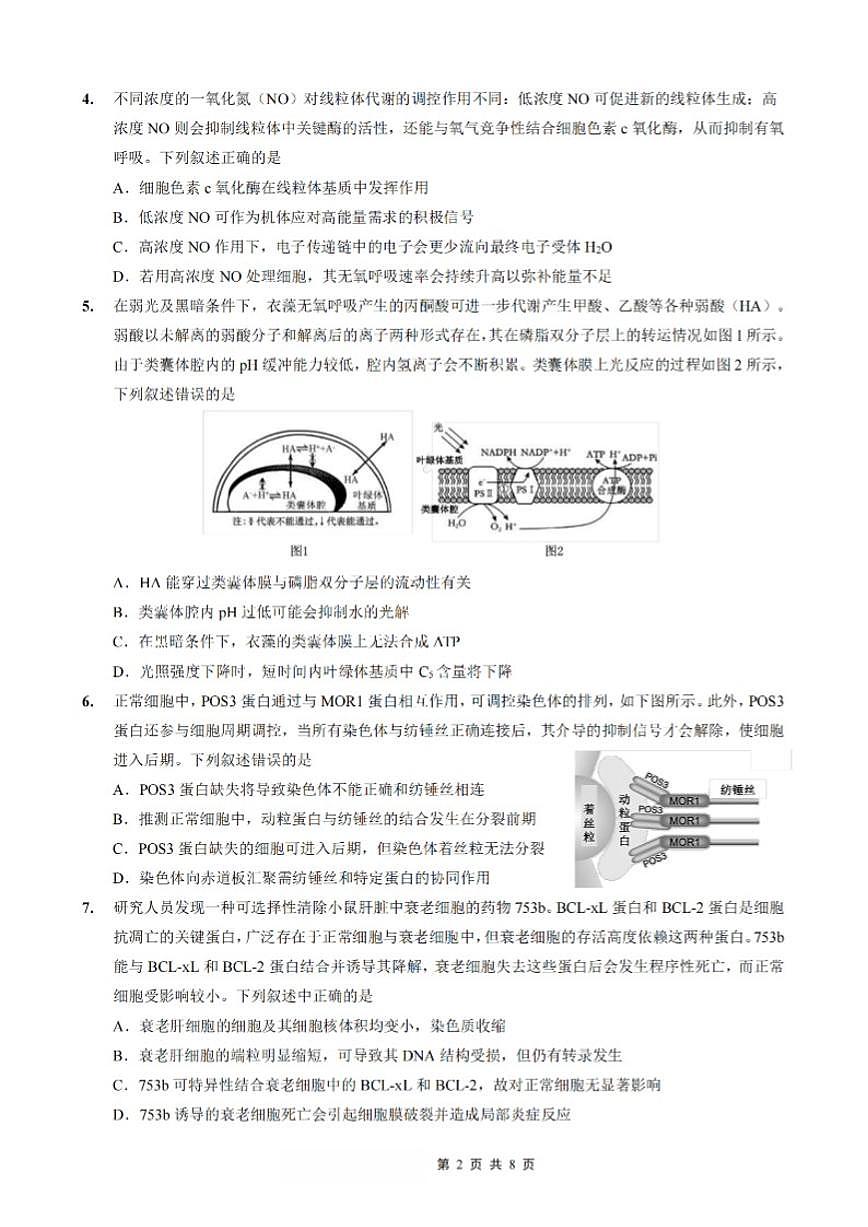 2026届重庆市重庆一中高三上学期一诊模拟考生物学试卷（含答案）第2页