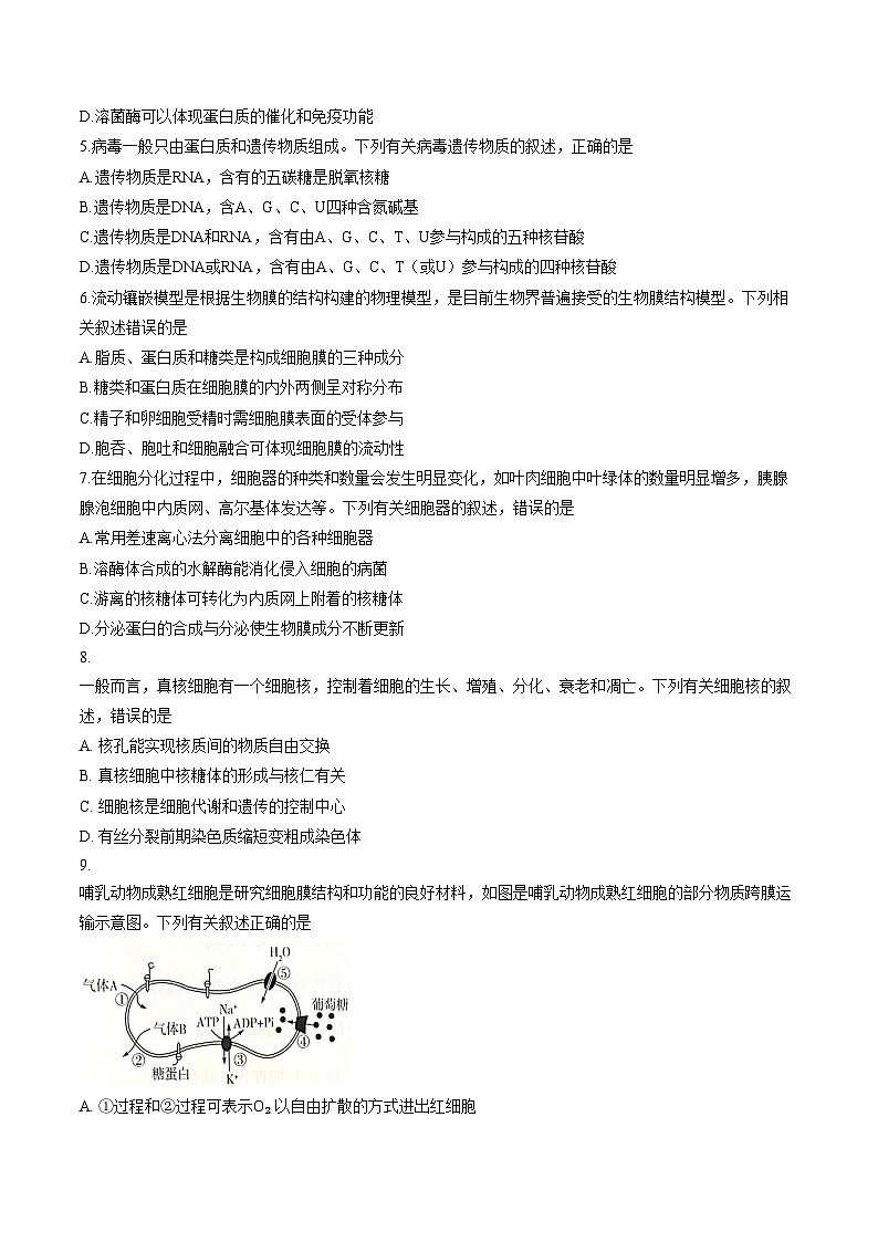 河南安阳市林州市2025_2026学年高一上学期2月期末生物试题（文字版，含答案）第2页