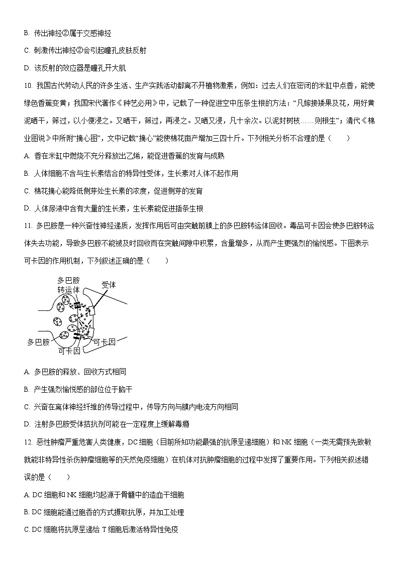 2025-2026学年河南周口市商水县普通高中高二年级（上）期末考试生物试卷（学生版）第3页