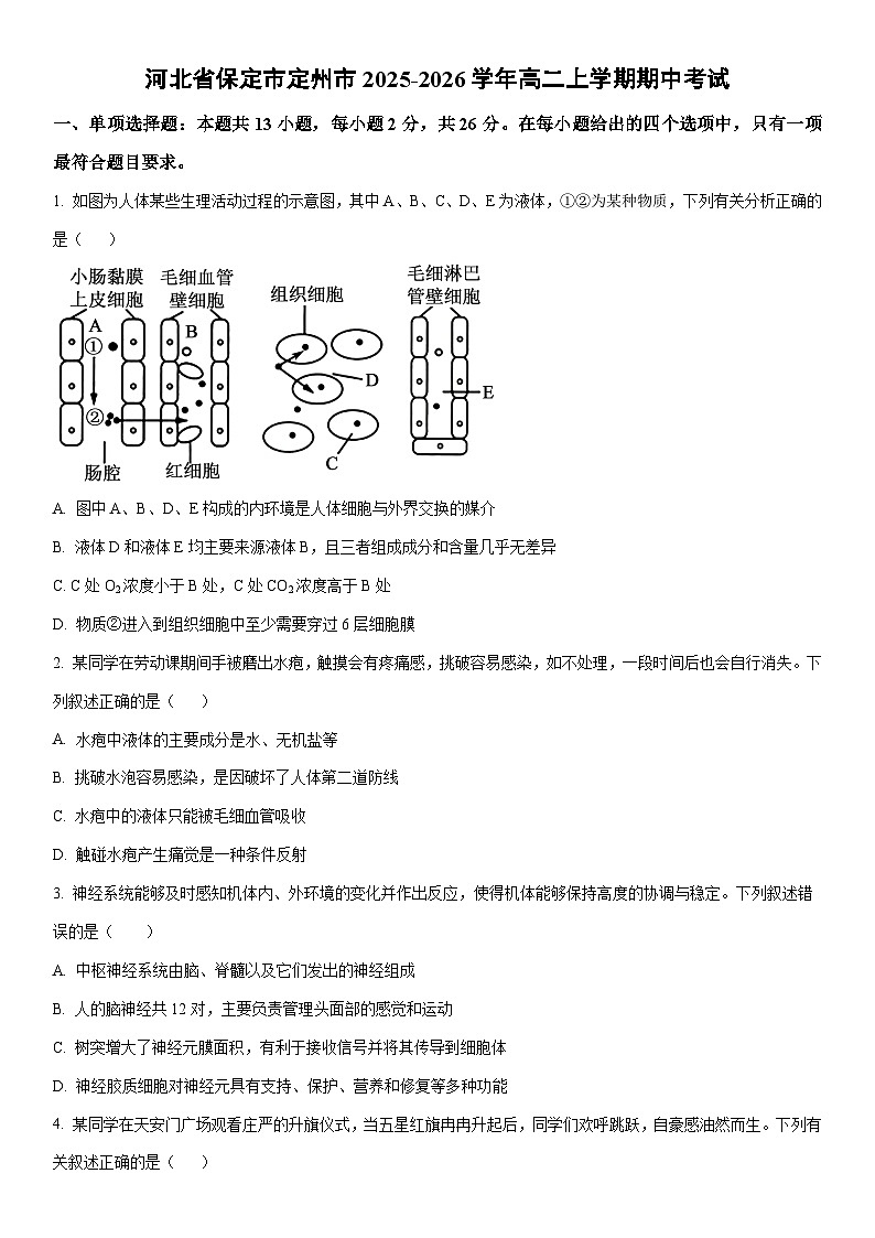 2025-2026学年河北省保定市定州市高二上学期期中考试生物试卷（学生版）第1页