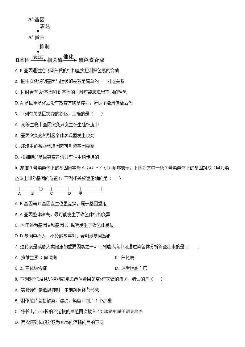 2025-2026学年江西省上饶市民校考试联盟高二上学期第一次联考（月考）生物试卷（学生版）第2页