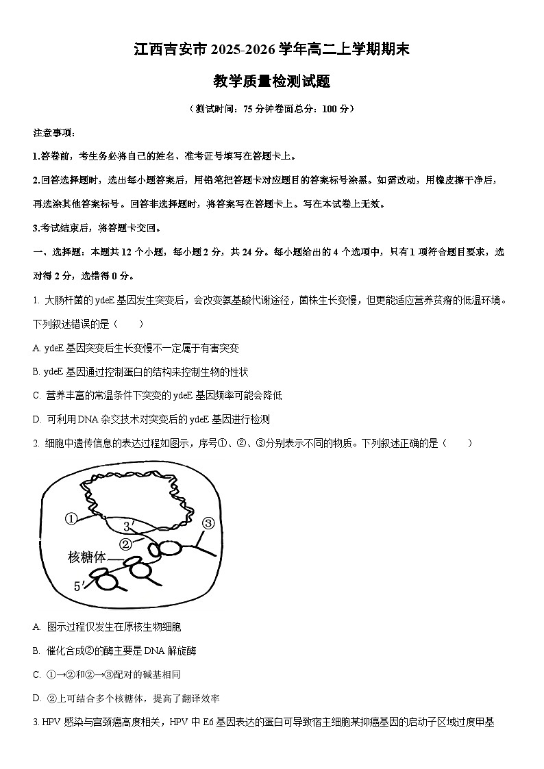 2025-2026学年江西吉安市高二上学期期末教学质量检测生物试卷（学生版）第1页