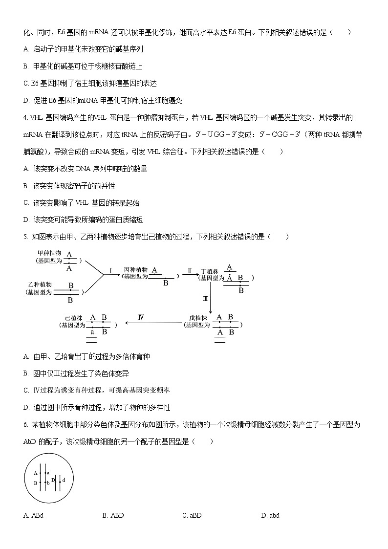 2025-2026学年江西吉安市高二上学期期末教学质量检测生物试卷（学生版）第2页