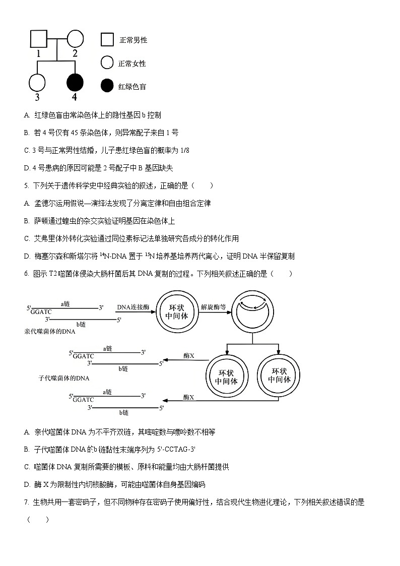 2025-2026学年江苏省高三第一学期期末调研测试生物试卷（学生版）第2页