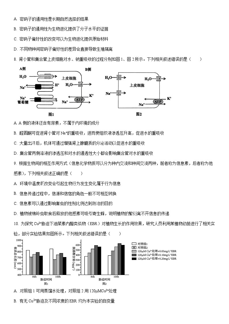 2025-2026学年江苏省高三第一学期期末调研测试生物试卷（学生版）第3页