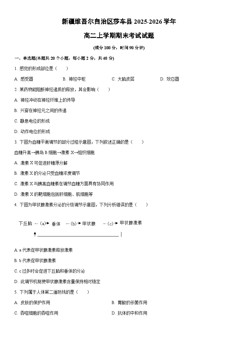 2025-2026学年新疆维吾尔自治区莎车县高二上学期期末考试生物试卷（学生版）第1页