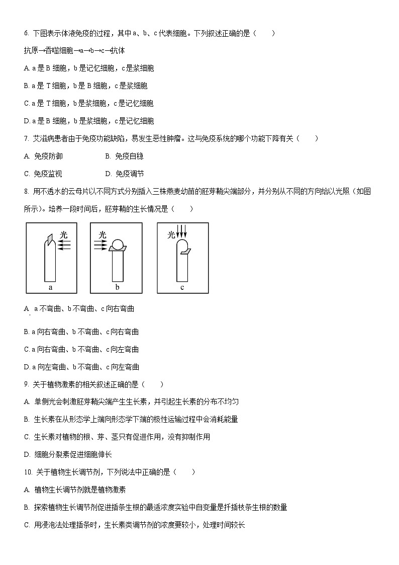 2025-2026学年新疆维吾尔自治区莎车县高二上学期期末考试生物试卷（学生版）第2页