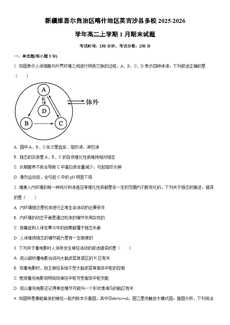 2025-2026学年新疆维吾尔自治区喀什地区英吉沙县多校高二上学期1月期末生物试卷（学生版）第1页