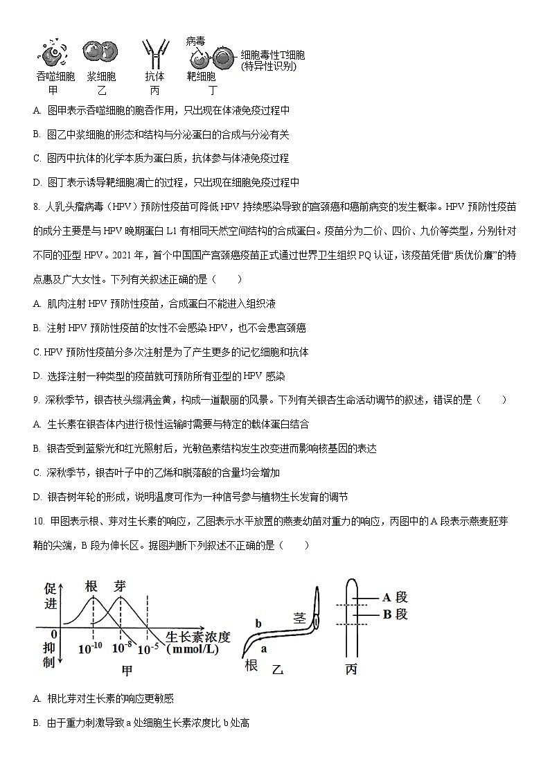 2025-2026学年新疆维吾尔自治区喀什地区英吉沙县多校高二上学期1月期末生物试卷（学生版）第3页