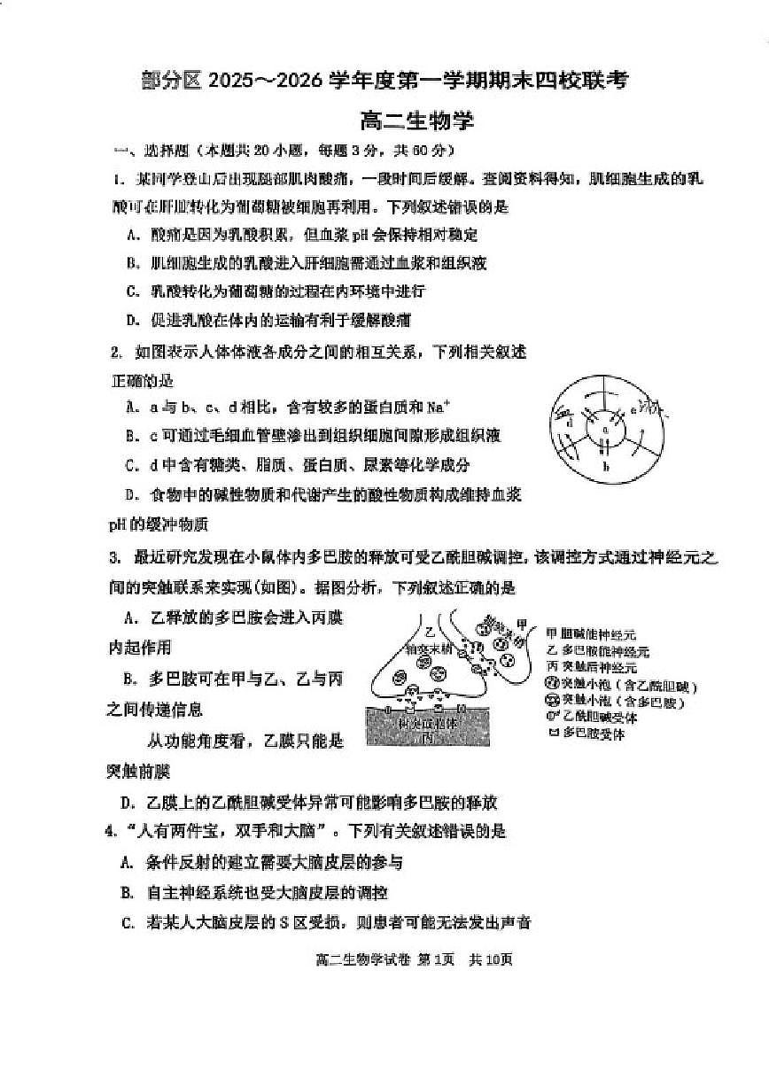 2025-2026学年天津市部分区度高二第一学期期末生物学试卷（含答案）第1页