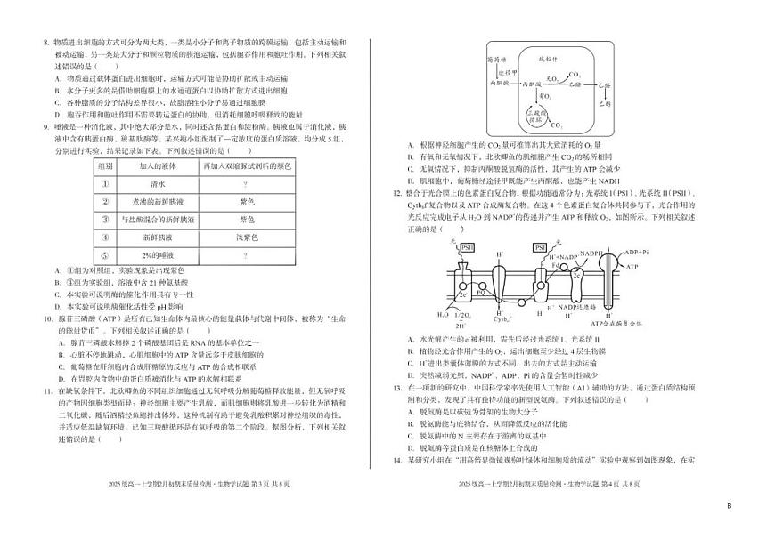 2025-2026学年安徽省A10联盟上学期期末高一生物学B试卷（含答案）第2页