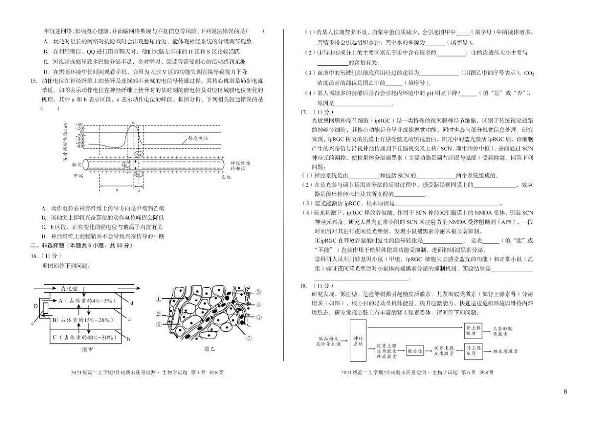 2025-2026学年安徽省A10联盟上学期期末高二生物学B试卷（含答案）第3页