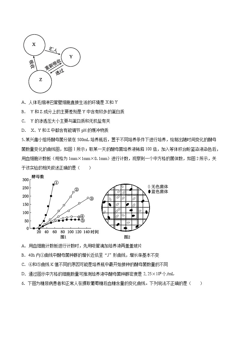 安徽省滁州市定远县育才学校2025-2026学年高二（上）1月月考生物试题（含答案）第2页