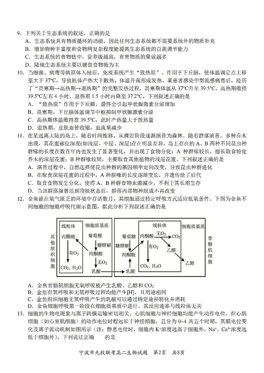 生物卷-2601宁波九校高二期末第2页