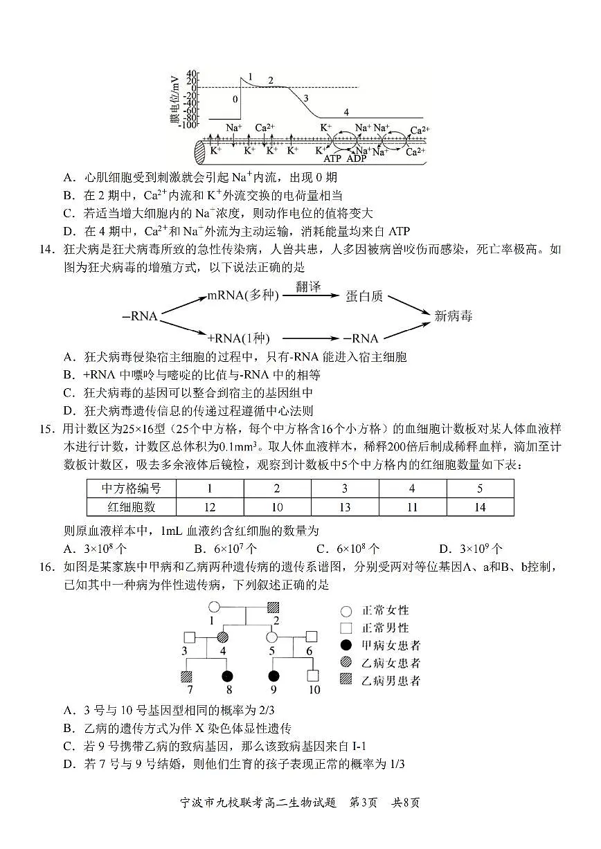 生物卷-2601宁波九校高二期末第3页