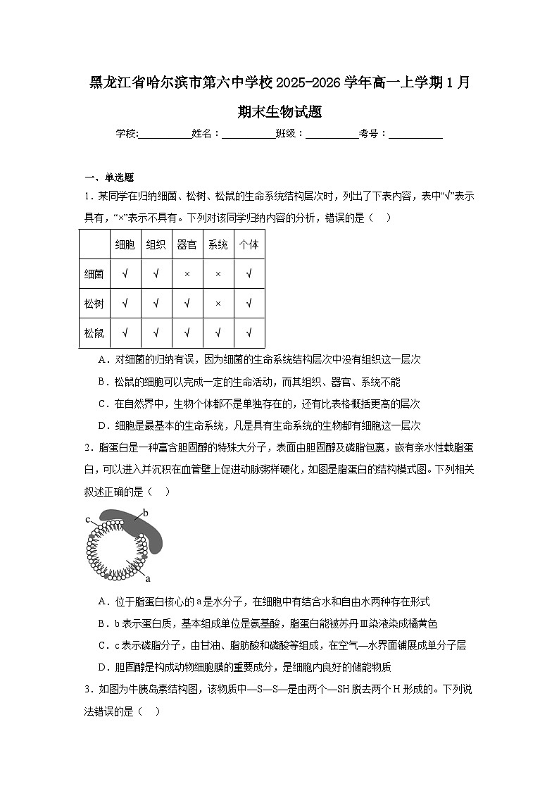 黑龙江省哈尔滨市第六中学校2025-2026学年高一上学期1月期末生物试题第1页