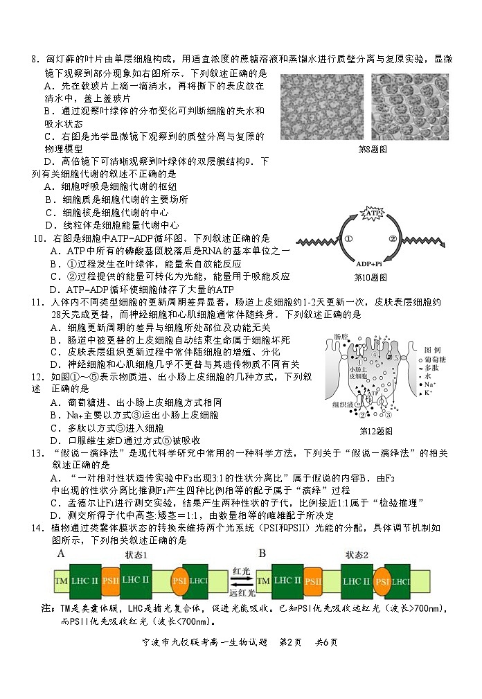 2601+宁波九校联考高一期末生物试卷第2页