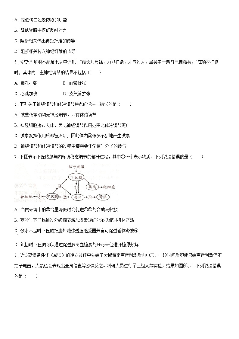 2025-2026学年山东省日照市高二上学期期中考试生物试卷（学生版）第2页