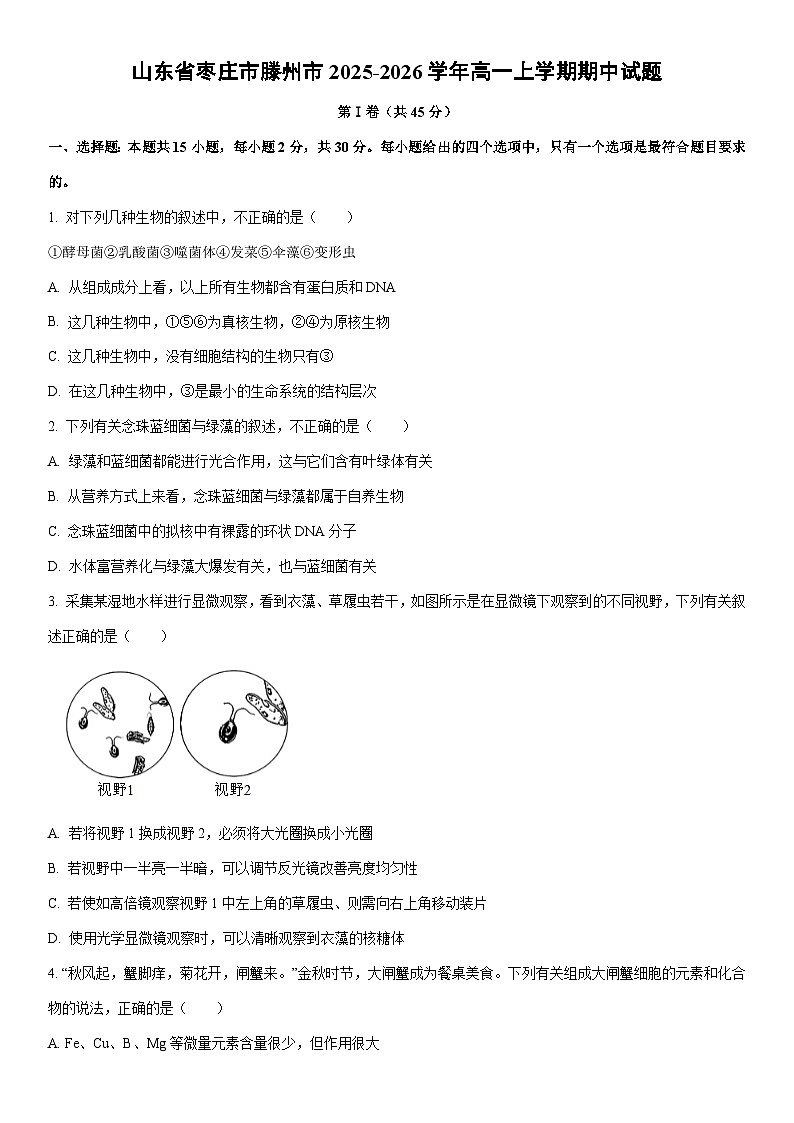 2025-2026学年山东省枣庄市滕州市高一上学期期中生物试卷（学生版）第1页