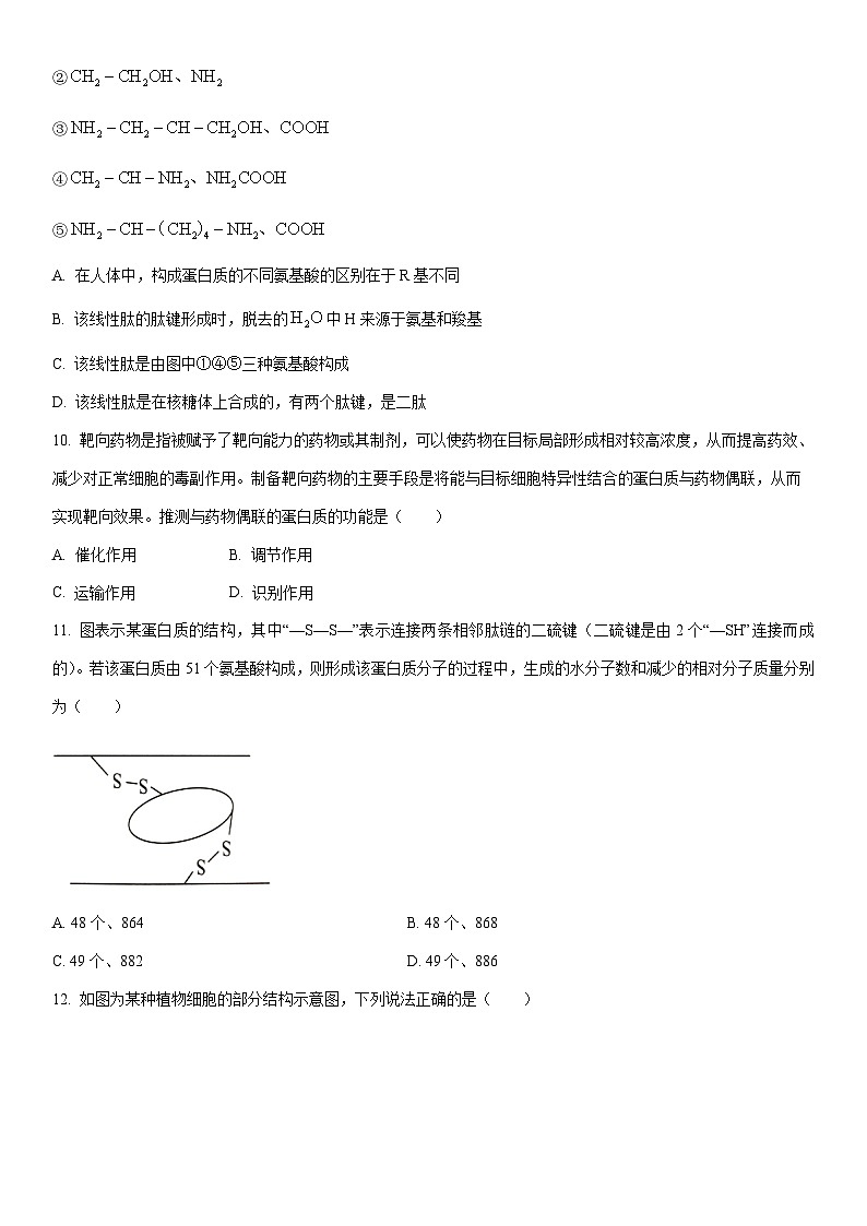 2025-2026学年山东省枣庄市滕州市高一上学期期中生物试卷（学生版）第3页