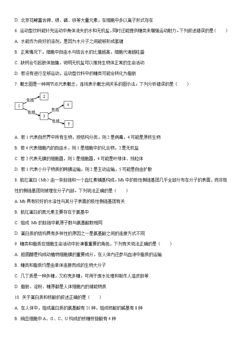 2025-2026学年山东济宁市邹城市高一上学期期中考试生物试卷（学生版）第2页