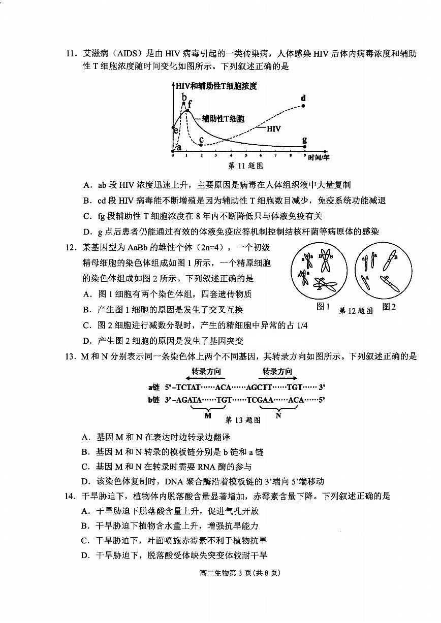 生物学(甲)试卷含答案-浙江省杭州市2026学年第一学期高二年级期末第3页