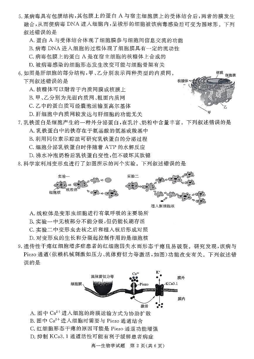 山西晋城市2025-2026学年高一上学期期末自测生物练习（图片版，含解析）第2页