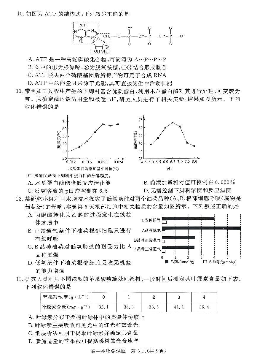 山西晋城市2025-2026学年高一上学期期末自测生物练习（图片版，含解析）第3页