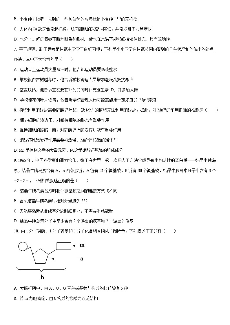 2025-2026学年天津市河东区8中高一上学期期中生物试卷（学生版）第2页