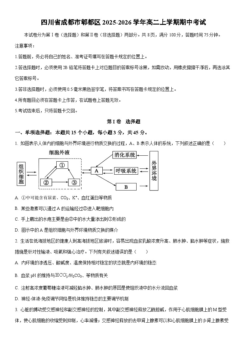 2025-2026学年四川省成都市郫都区高二上学期期中考试生物试卷（学生版）第1页