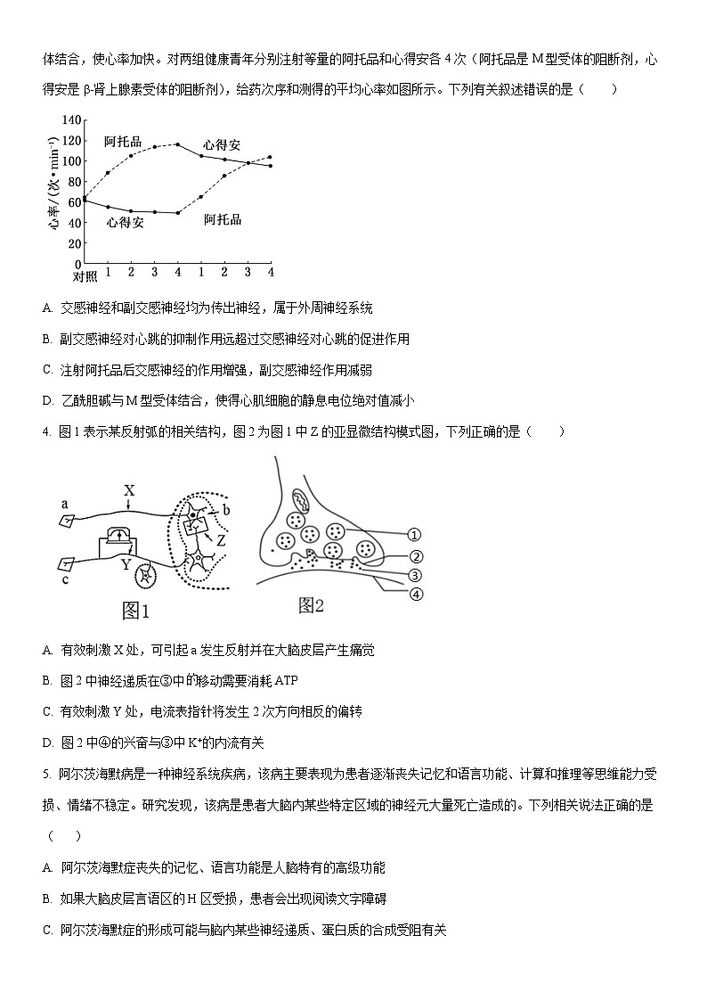 2025-2026学年四川省成都市郫都区高二上学期期中考试生物试卷（学生版）第2页