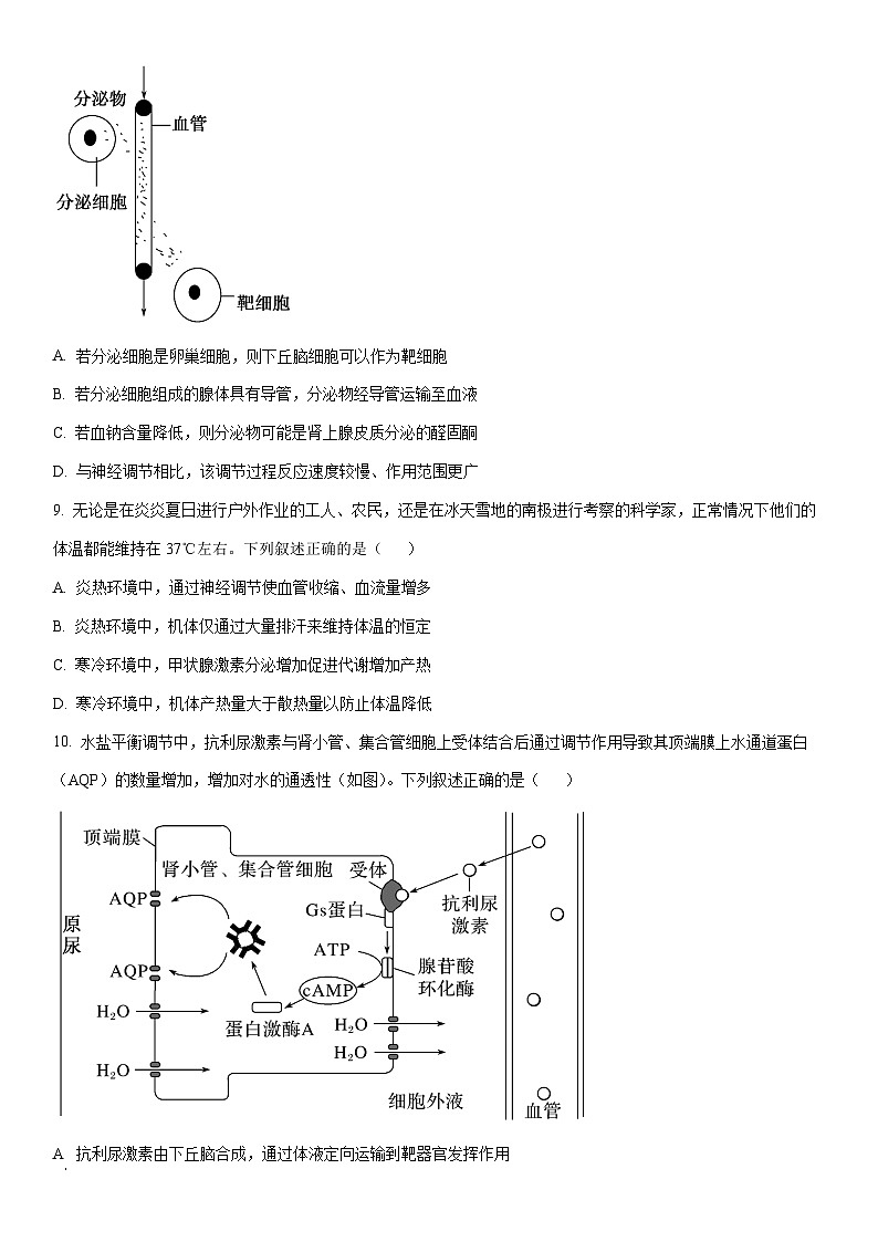 2025-2026学年四川省成都市嘉样教育集团高二上学期期中质量监测生物试卷（学生版）第3页