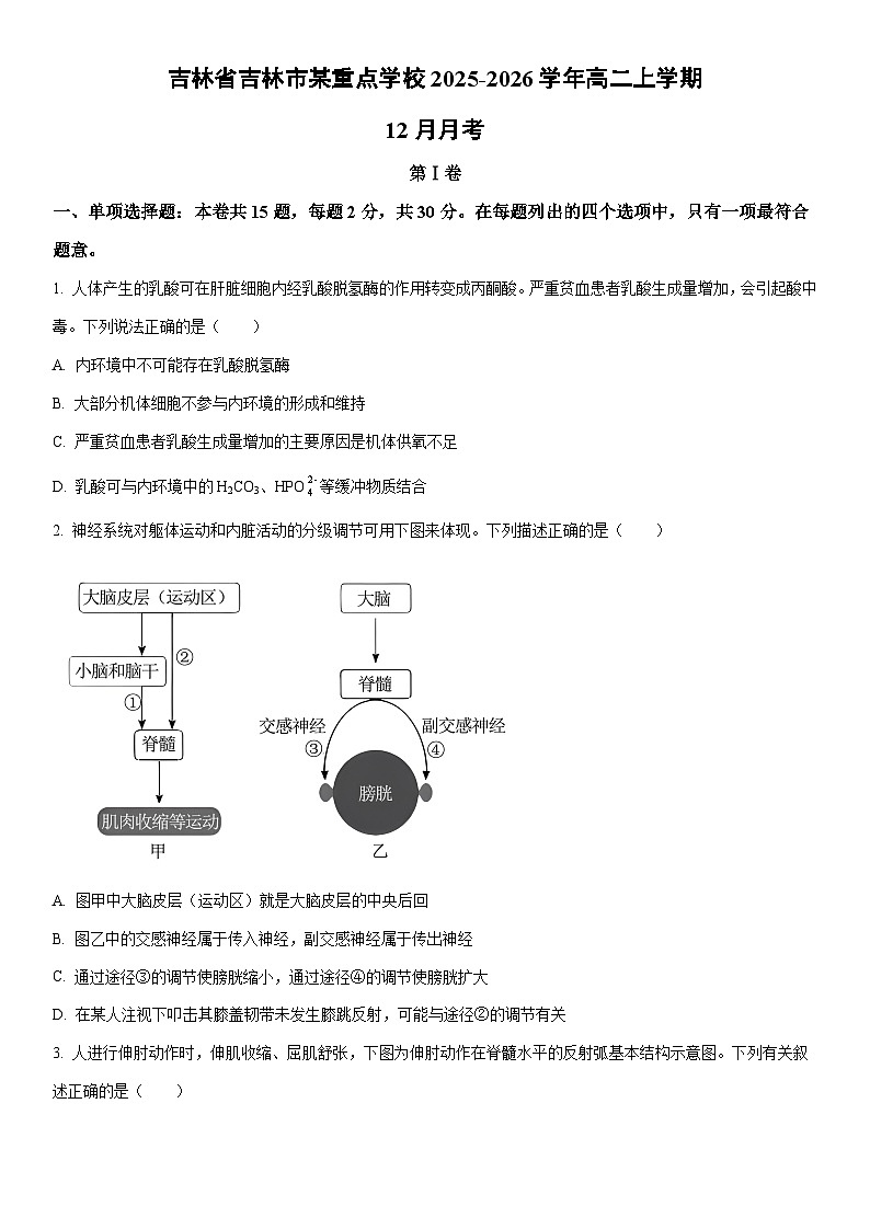 2025-2026学年吉林省吉林市某重点学校高二上学期12月月考生物试卷（学生版）第1页