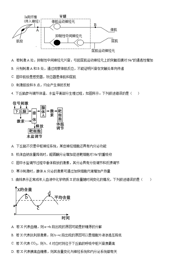 2025-2026学年吉林省吉林市某重点学校高二上学期12月月考生物试卷（学生版）第2页