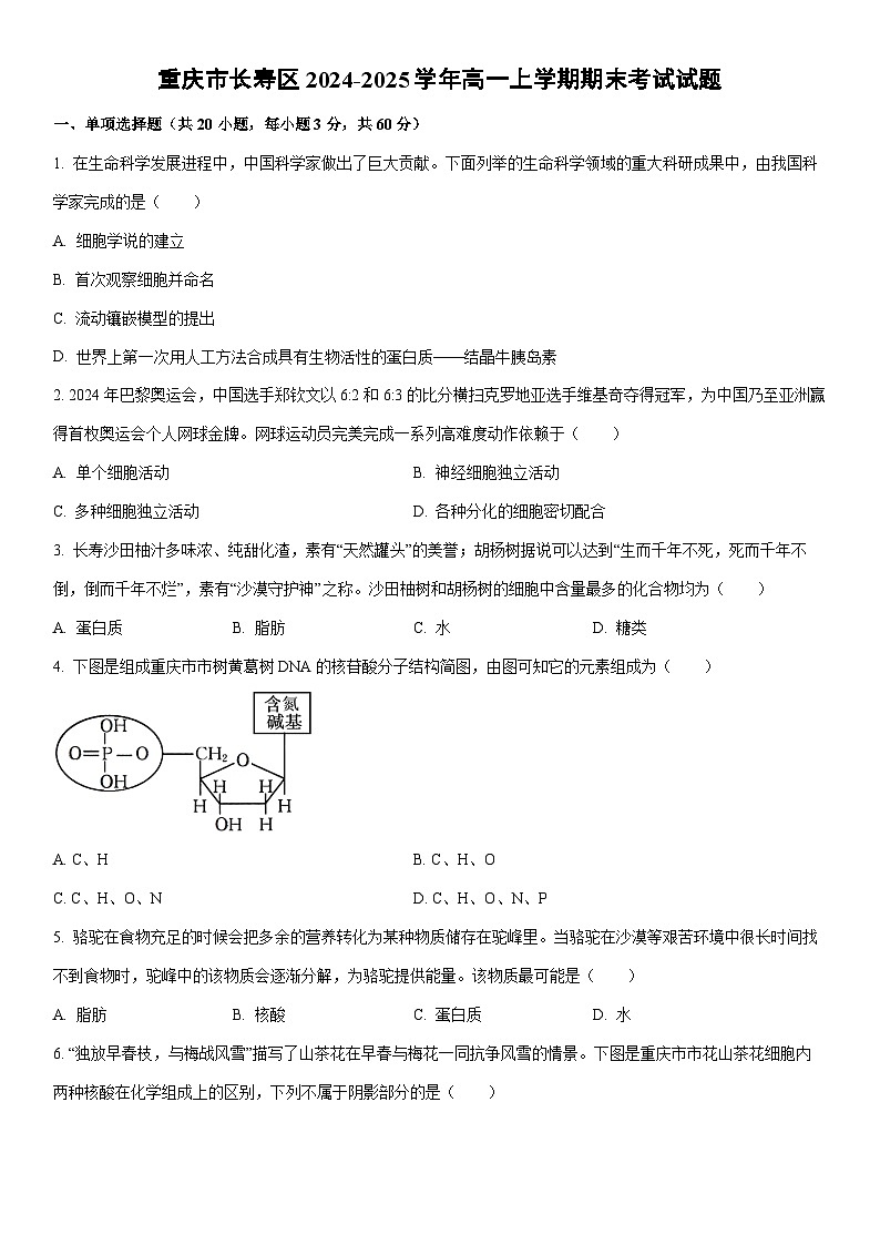 2024-2025学年重庆市长寿区高一上学期期末考试（B卷）生物试卷（学生版）第1页