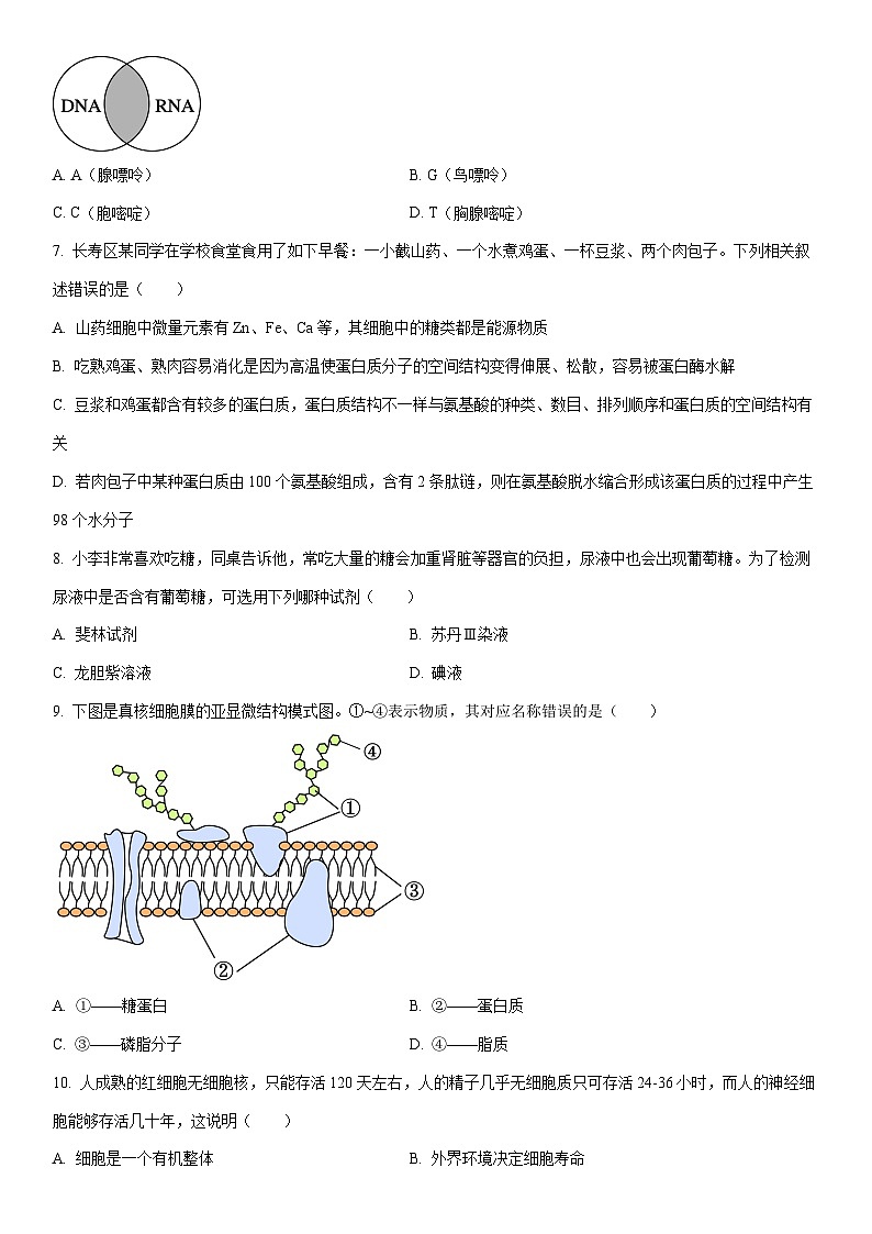 2024-2025学年重庆市长寿区高一上学期期末考试（B卷）生物试卷（学生版）第2页