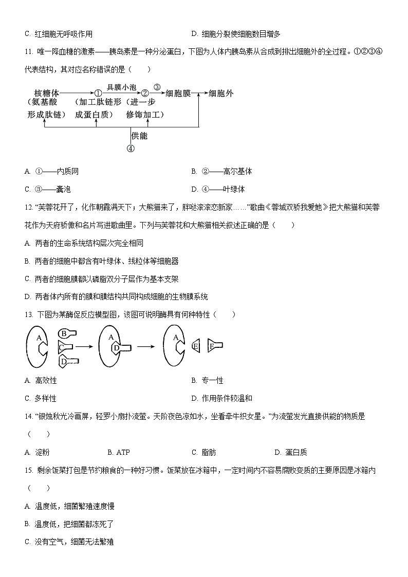 2024-2025学年重庆市长寿区高一上学期期末考试（B卷）生物试卷（学生版）第3页