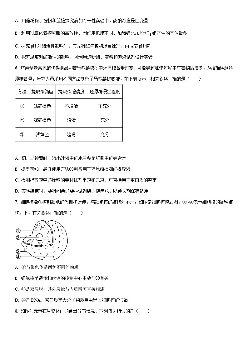 2024-2025学年湖南省怀化市高一上学期期末考试生物试卷（学生版）第2页
