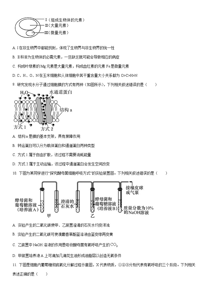 2024-2025学年湖南省怀化市高一上学期期末考试生物试卷（学生版）第3页