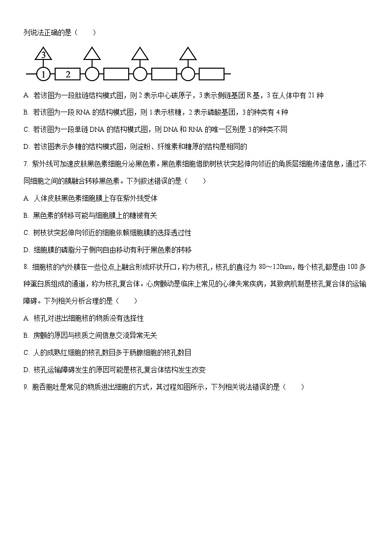 2024-2025学年新疆吐鲁番市高一上学期期末检测生物试卷（学生版）第2页