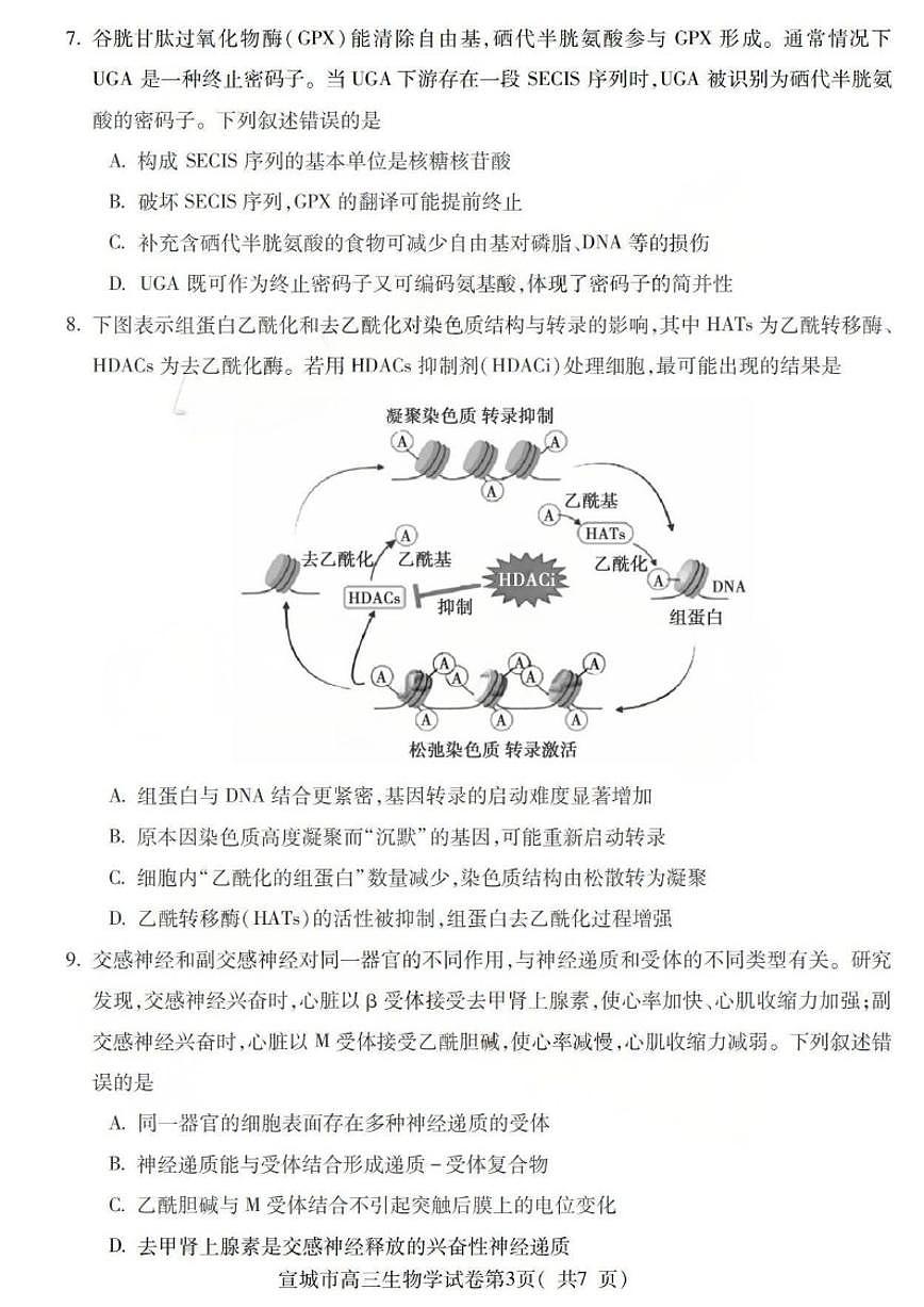 2026届安徽省宣城市上学期高三期末调研测试生物试题（含答案）第3页